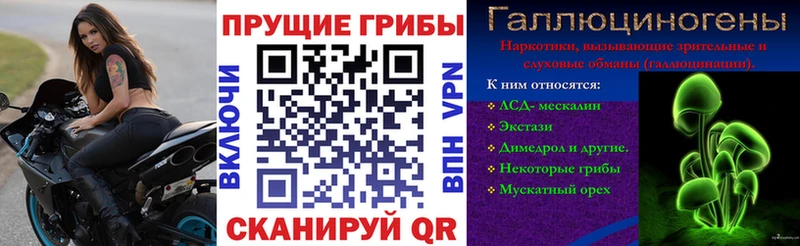 Псилоцибиновые грибы Psilocybe  даркнет сайт  мега tor  Кропоткин 