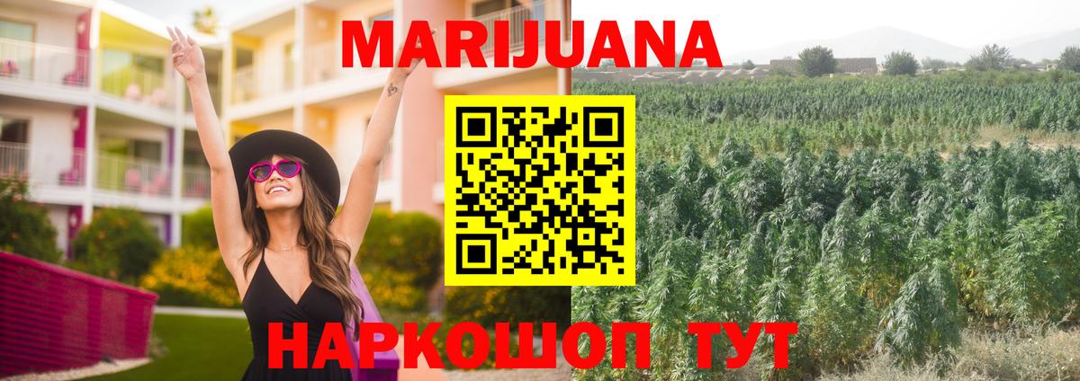 Конопля сатива Кропоткин
